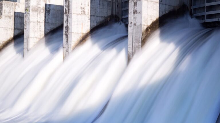 ZEUS: Stefania Di Bartolomeo’s quest to answer this one ESG question