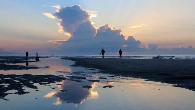 EU climate lead at risk as Timmermans may depart to run for Dutch PM