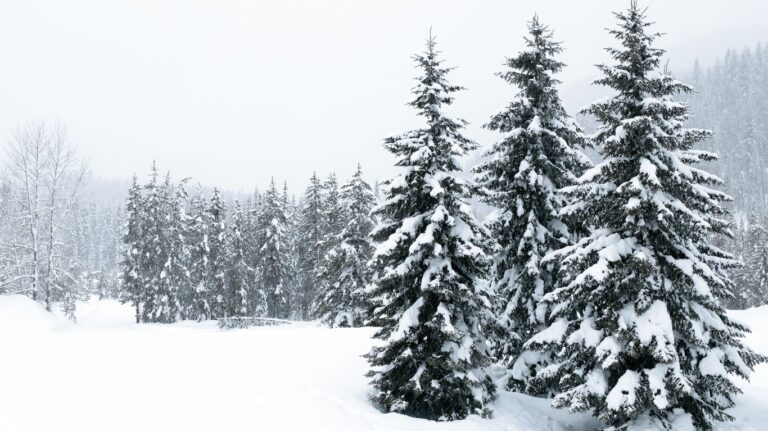 Europe quick to act as climate change bites from glaciers to islands