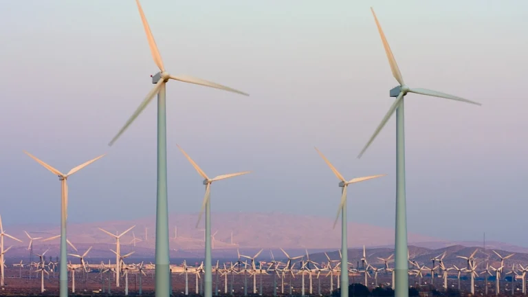 Axed by Elon? Jettisoned by Jeff? Zapped by Zuckerberg? Here’s where you might land