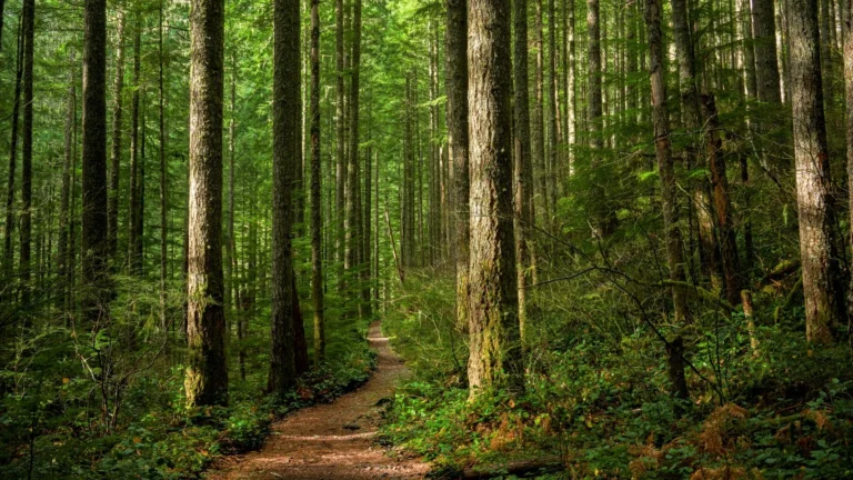 Can the EPA really build a $27 billion green bank next year? An interview with Reed Hundt