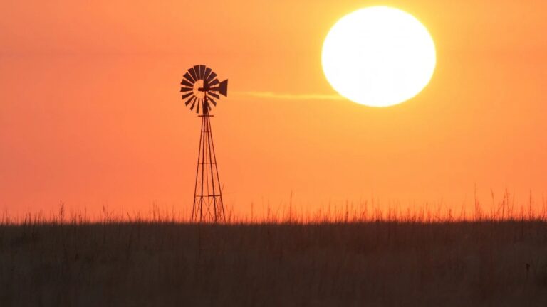 Behind the summer rally in sustainable funds