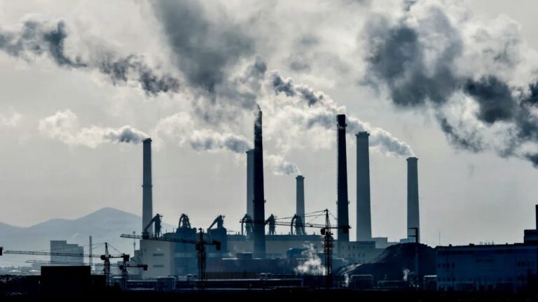 How investors profit from companies reporting Scope 3 emissions