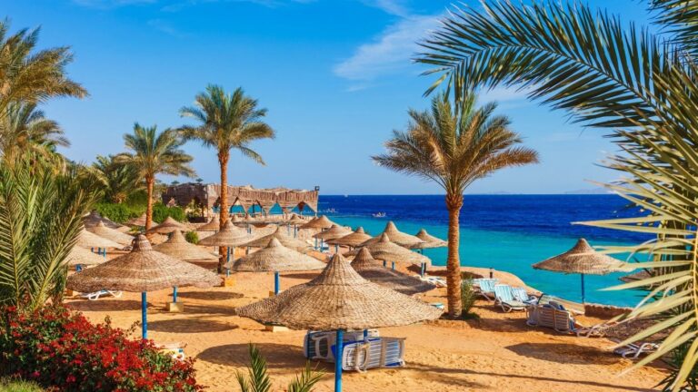 Out of Africa: How COP27 drove fundraising for climate firms tied to the region