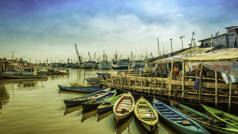 Why Biden’s Indonesia climate deal works better than ‘loss and damages’