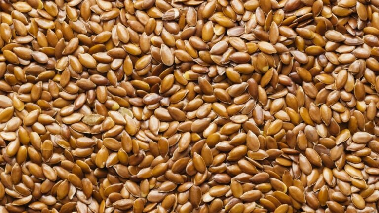 Flax seed laptops debut in Barcelona, plus the monster SUVs of Europe