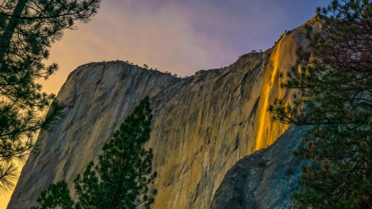 Review: ‘Guardians of the Valley: John Muir and the Friendship That Saved Yosemite’