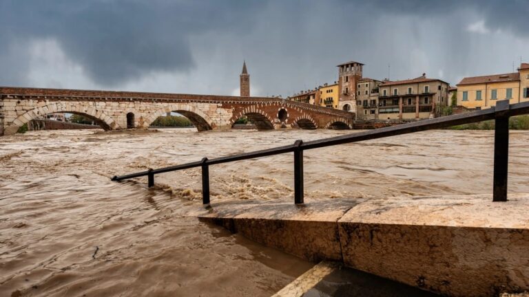 The silver lining in Europe’s energy crisis as brutal summer begins