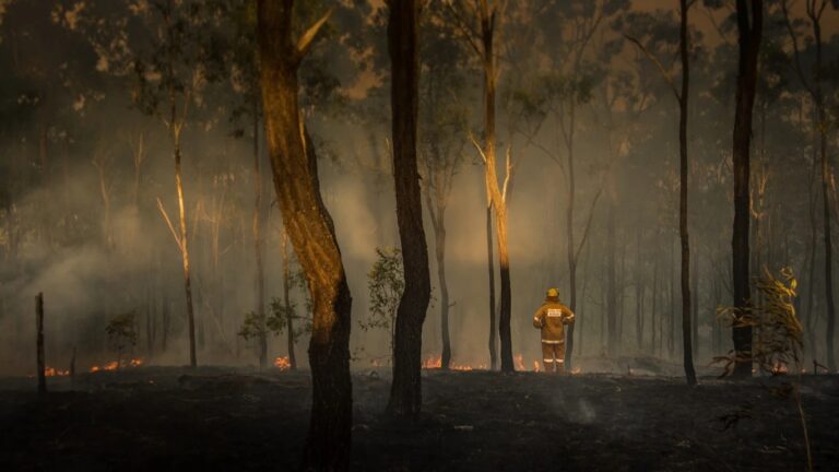 Lessons from Maui as global warming finds a new way to wreak havoc