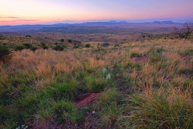 Texas Wildfire, Bigger Than Rhode Island, Out Of Control
