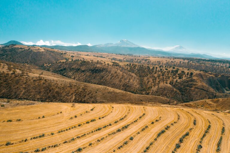 Drought Hammers New Mexico