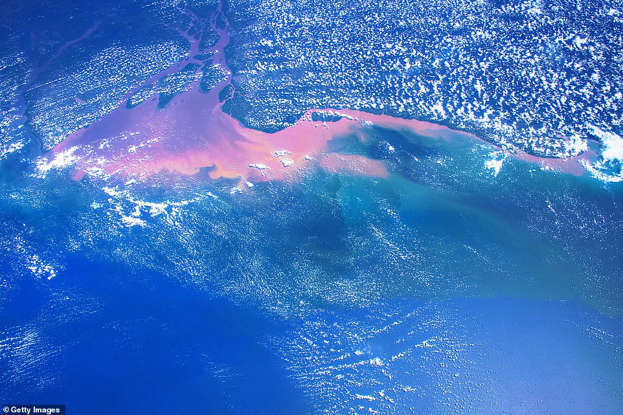 Mysterious Cooling of the Atlantic Ocean Baffles Scientists Amid Climate Change