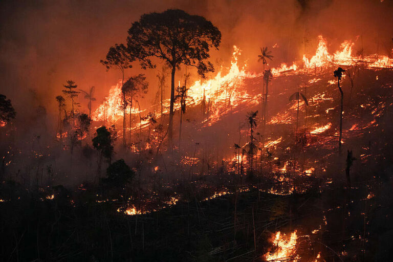 Brazil’s Wildfire Crisis: Thousands of Fires Threaten Cities and the Amazon