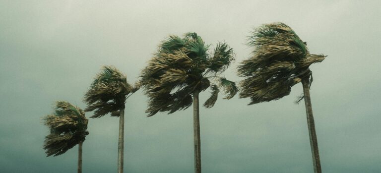 Why the heck do climate-denying Trump lovers move into the path of Hurricanes?