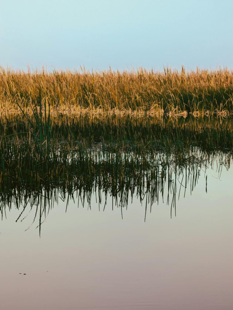 Hurricane Helene Damage $85 to $110 Billion