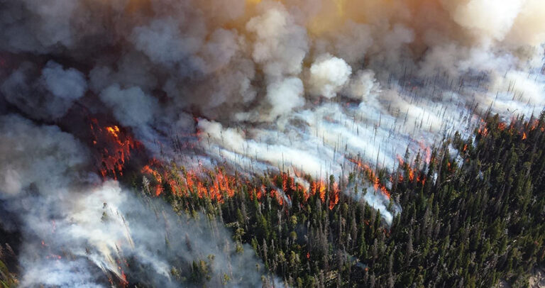 Wildfire Smoke Doesn’t Respect Borders: Real-Time Tracking Shows Far-Reaching Impact