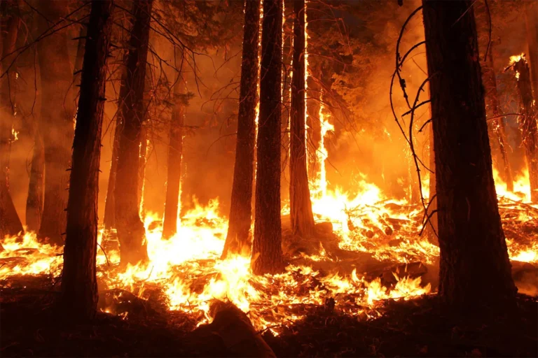 Wildfires in Connecticut?!?! Yes, Unprecedented Brush blazes Signal Growing Crisis