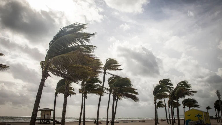 It ain’t over yet: Tropical Storm Patty Menaces Florida as water Warmth Persists