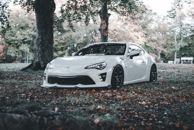 China BYD EV Leader Could Ruin Ford And GM Outside US.