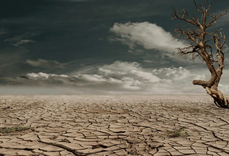 Sahara Desert Rain Is Climate Change Warning
