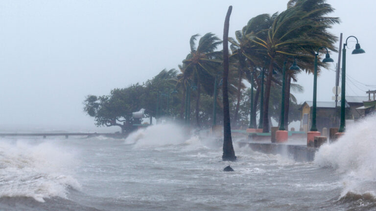 Who’s guilty in the case of Cat. 5 Milton? It’s Us for Fueling climate change