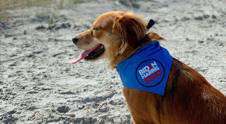 Going, but not Forgotten: Biden’s $1 trillion clean energy and infrastructure legacy