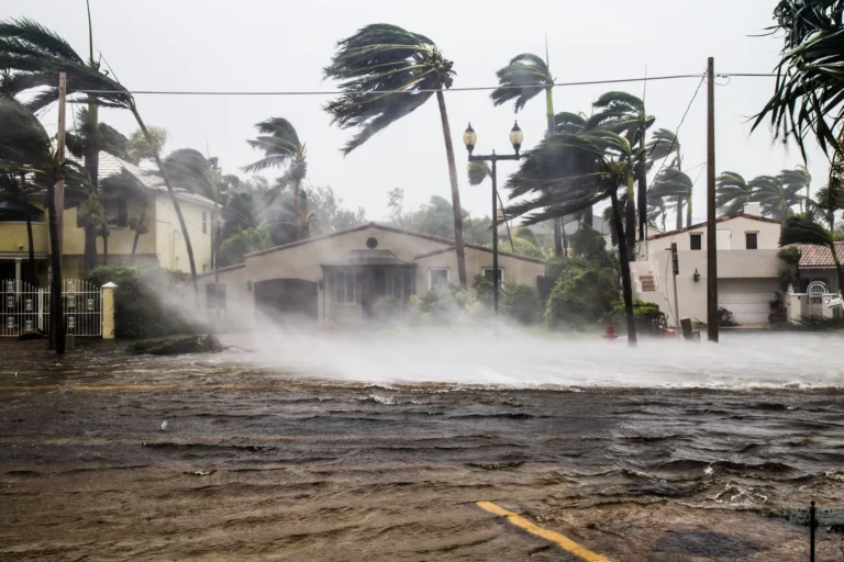 A warming warning: 2024 Hurricane Season Costs Soar to $500 Billion