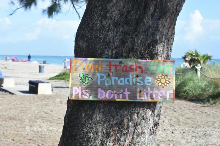 A Wooden Signage on a Tree Trunk