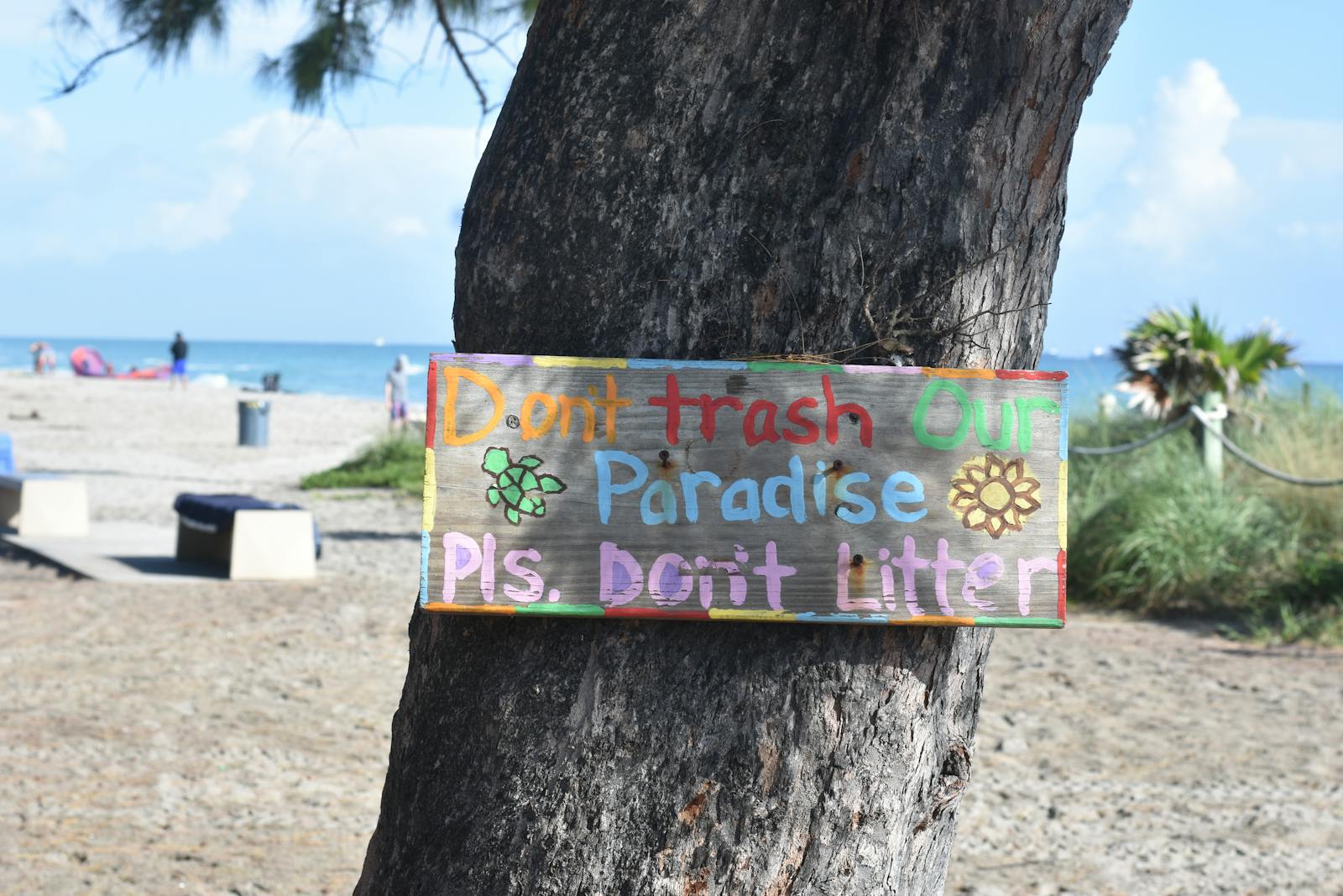 A Wooden Signage on a Tree Trunk