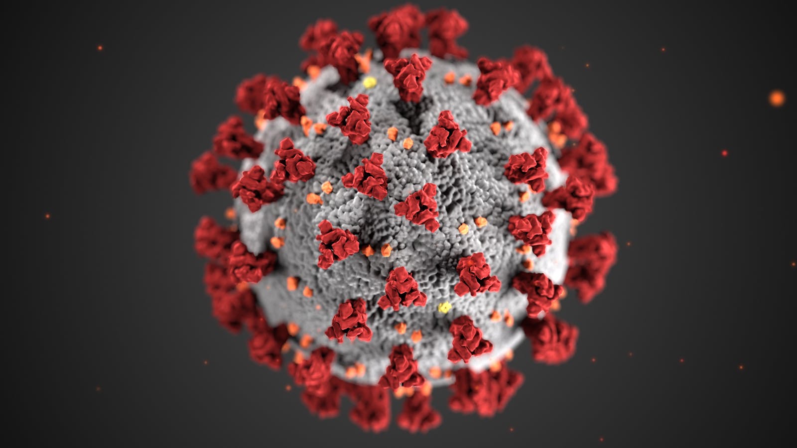 Detailed illustration of coronavirus structure with red spike proteins.