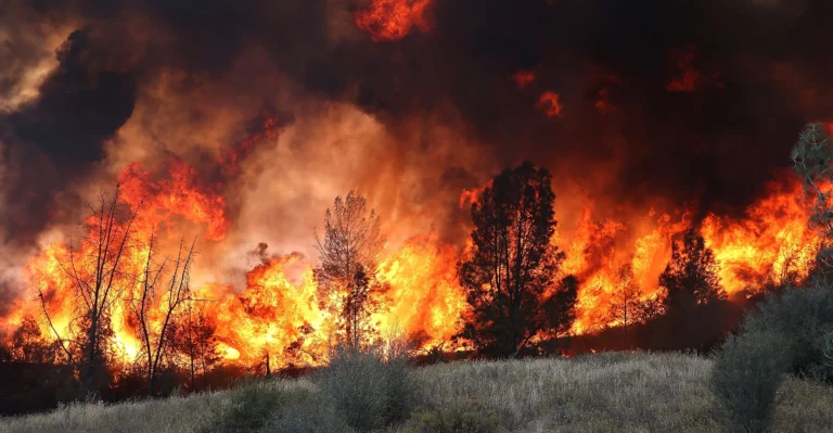 Bone-dry and Blazing: Drought leads to New York’s Largest Wildfire Since 2008