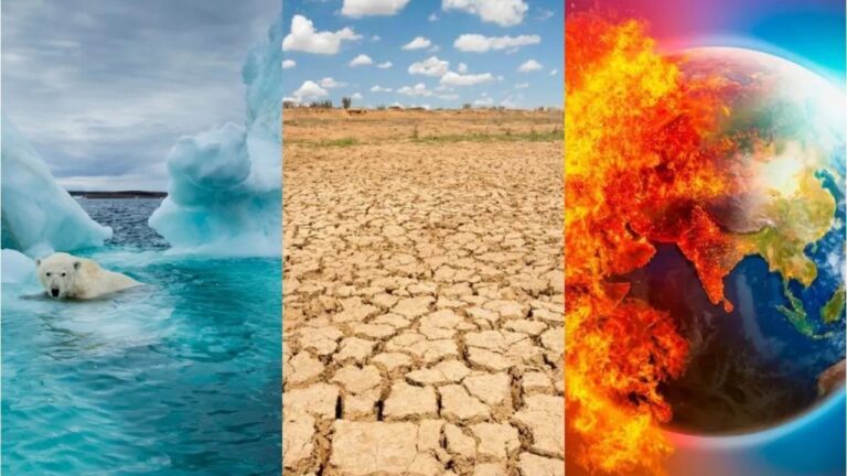 Global Climate Crisis: Why  Political Will and Greed Are the Real Obstacles