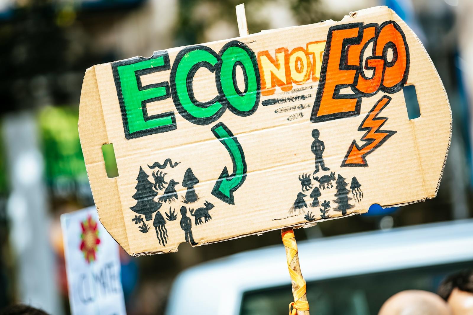 Free stock photo of activism, activist, activist message