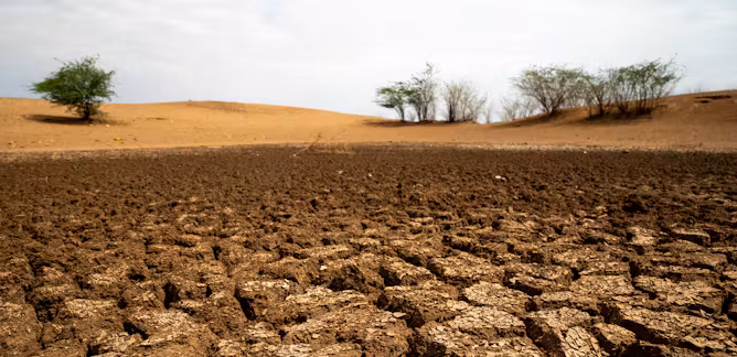 Global Soil Crisis: How Drought and Nutrient Loss Drive Climate Migration