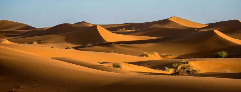 Dude, all you have is Dunes! Saudis tout Land Management to counter climate damage