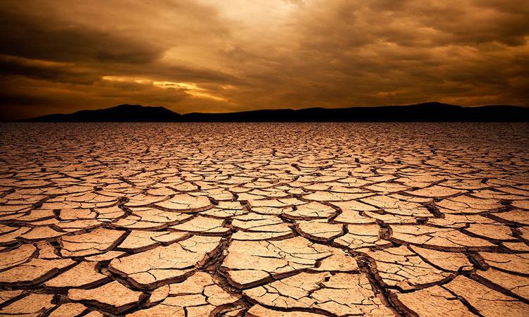 Dry and High: How the Mississippi’s Dire Decline Fuels Food Inflation