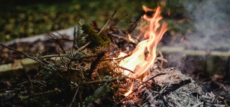 Ring of fire: More than 125 Woodland blazes Burn As Drought Slams New York City