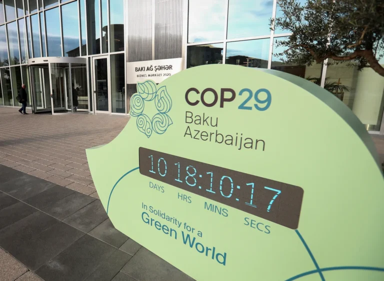 Are Climate Summits Just Global Photo Ops? Pessimism Swells for COP29