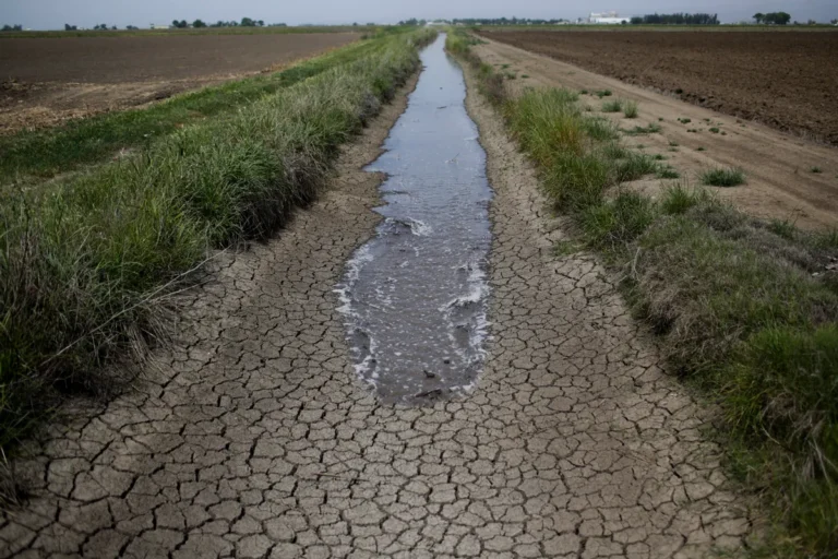 This Is The Top Weather and Climate Tool of 2024