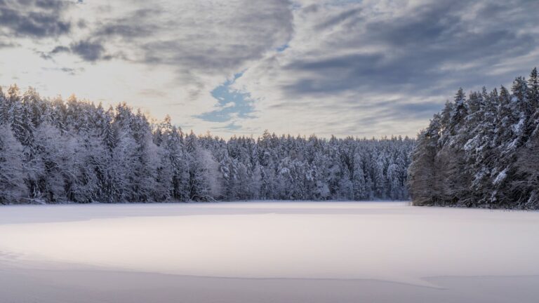 These Cities Will Get the Most Snowfall on Christmas