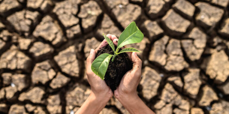 Climate change-caused Soil Degradation Is Driving Up Food Prices Globally