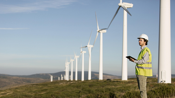 Buffeted by chilly breezes: Trio of Issues Derail Progress in Wind Energy Sector
