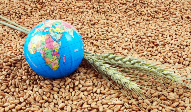 Global Drought Crisis Set to Threaten Food Security and Fuel price Surges