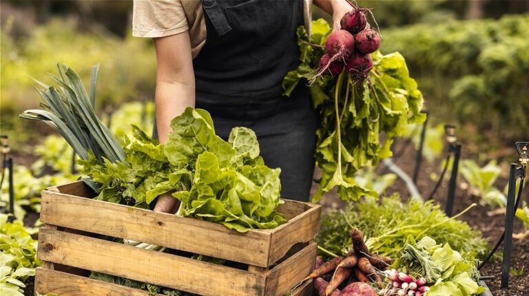 Backyard Farmer: Growing food at home a solution to Climate Insecurity