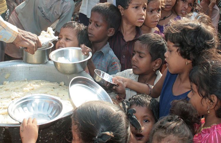 Why Crop Resilience is Key to Fighting Global Hunger Amid Climate Change