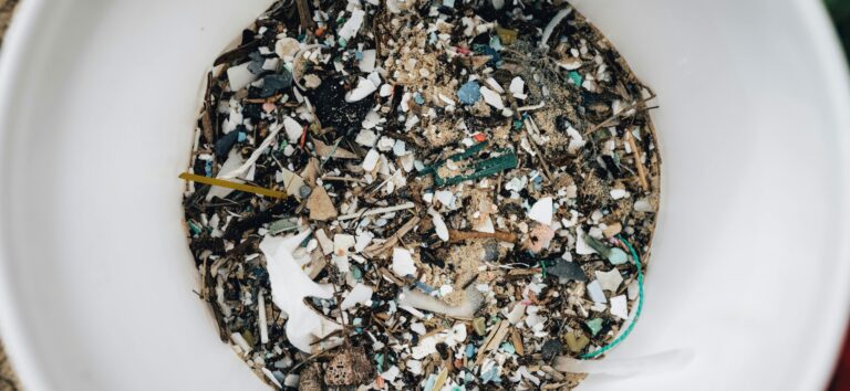Miffed Over Microplastics: Scientists divided About effects of tiny Particles on Humans