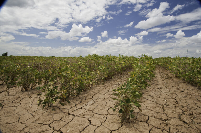 How Exceptional Drought Is Devastating Agriculture in West Texas and New Mexico