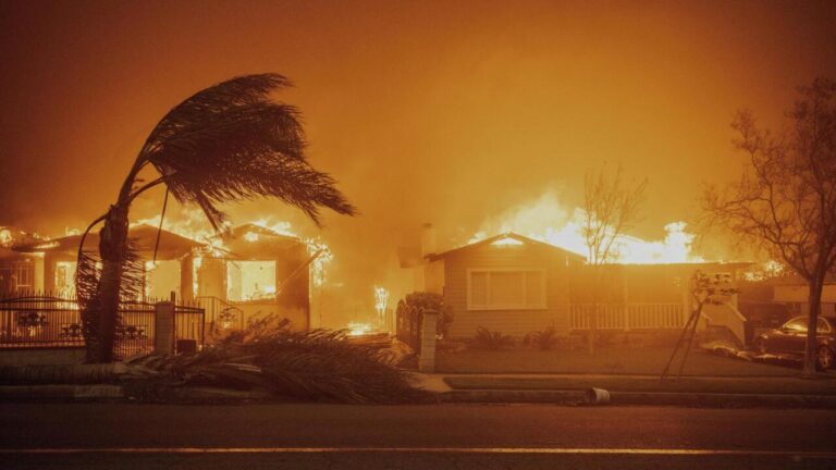 Climate Change Fueled the LA Wildfires And Bigger Hurricanes, New Study Confirms