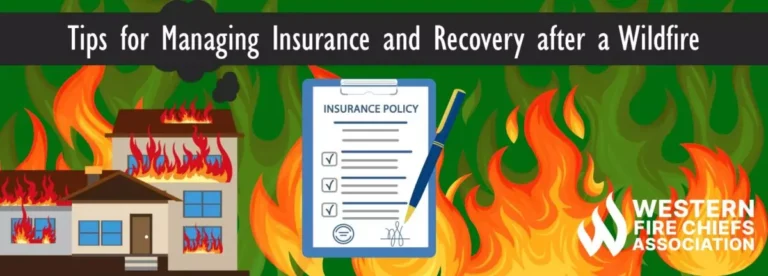 Post-Wildfire Safety Tips: What Insurance Companies Advise