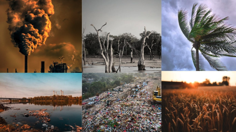Recent Climate Disasters Cost $500 Billion: The Financial Fallout